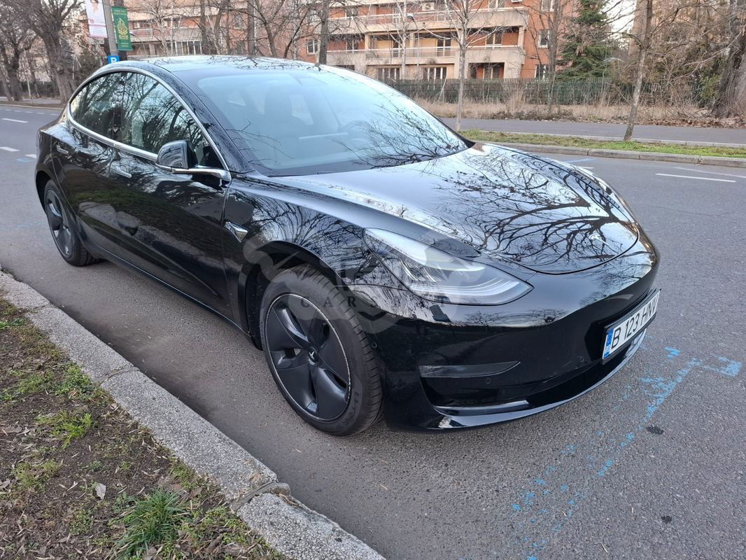 Tesla Model 3 Standard Reichweite Plus Hinterradantrieb 2019