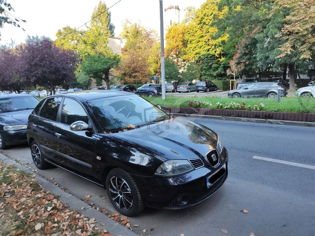 Seat Ibiza III [2002 - 2008] 2008