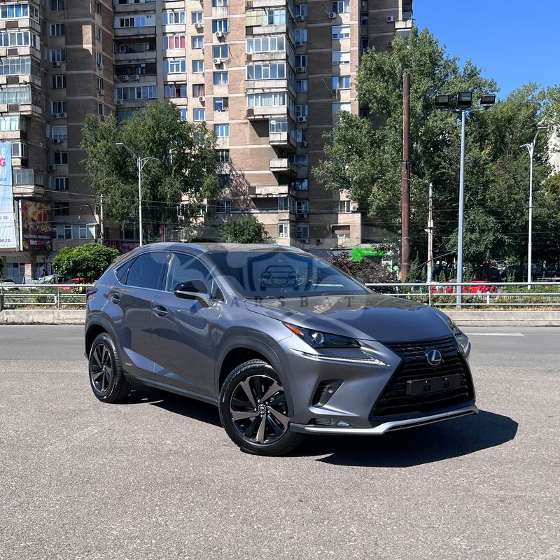 Lexus NX 300h 2020