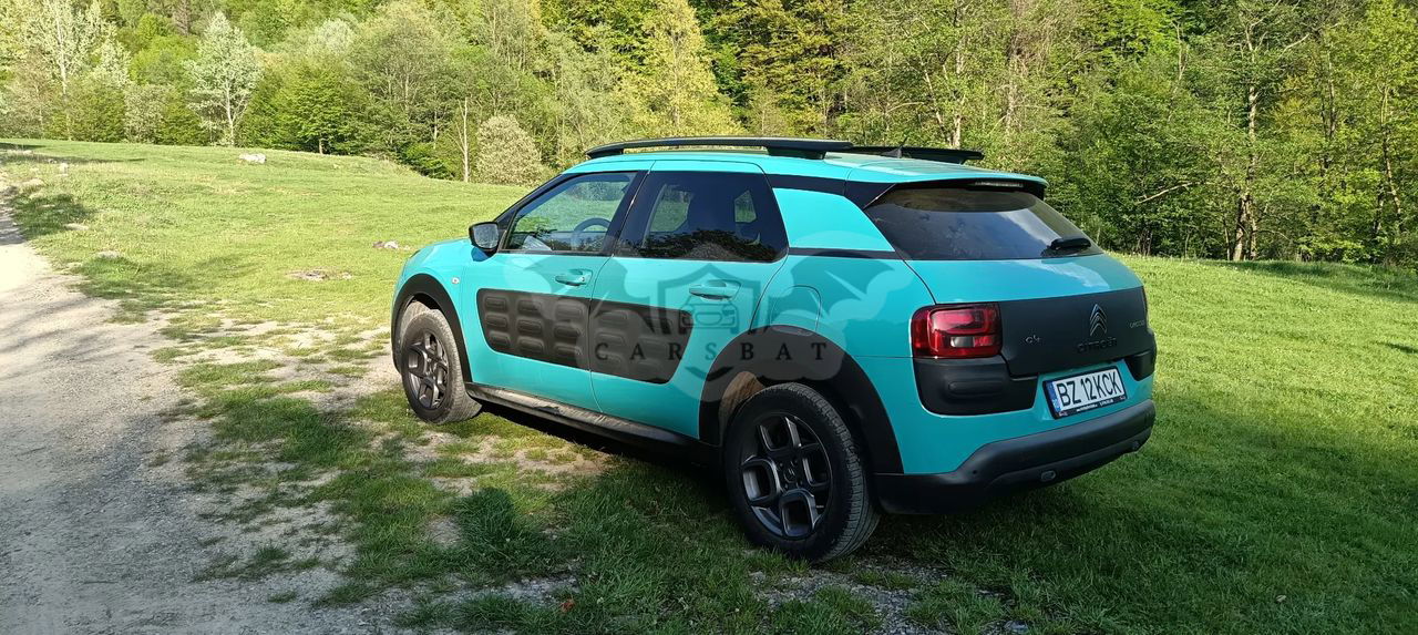 Citroën C4 Cactus BlueHDi BVM Start&Stop Shine 2015