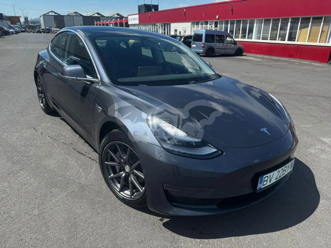 Tesla Model 3 2019