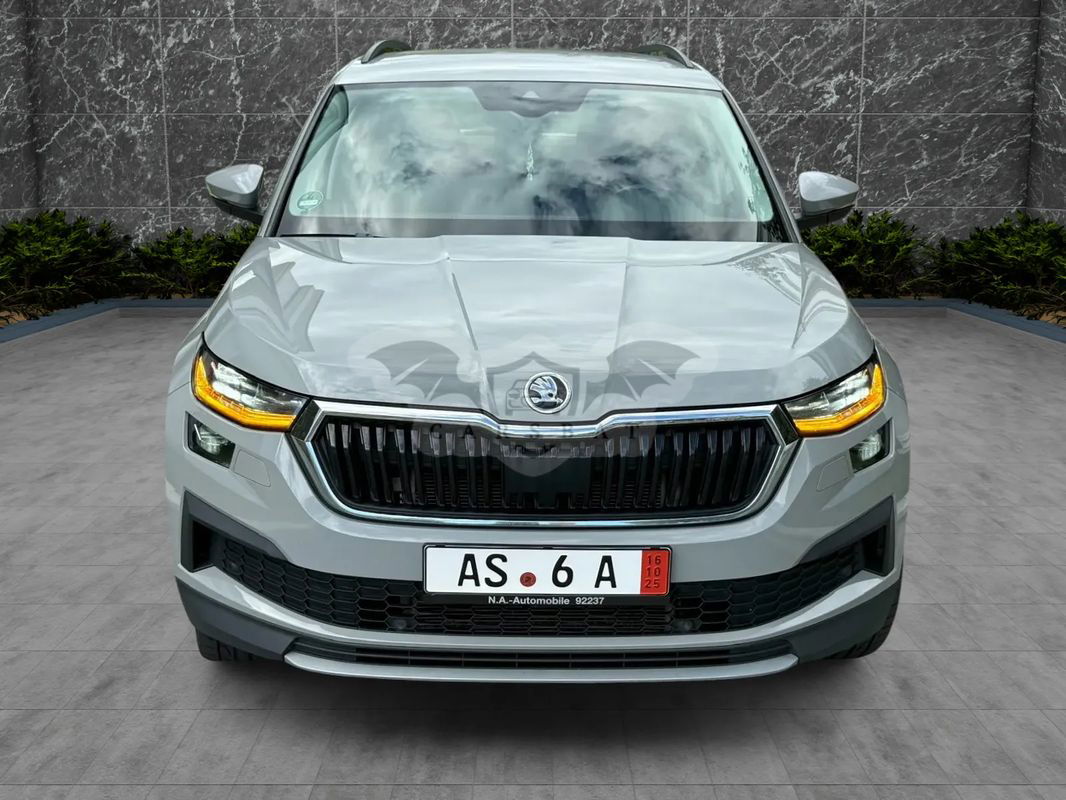 Skoda Kodiaq 2.0 TDI 4X4 DSG Tour 2023