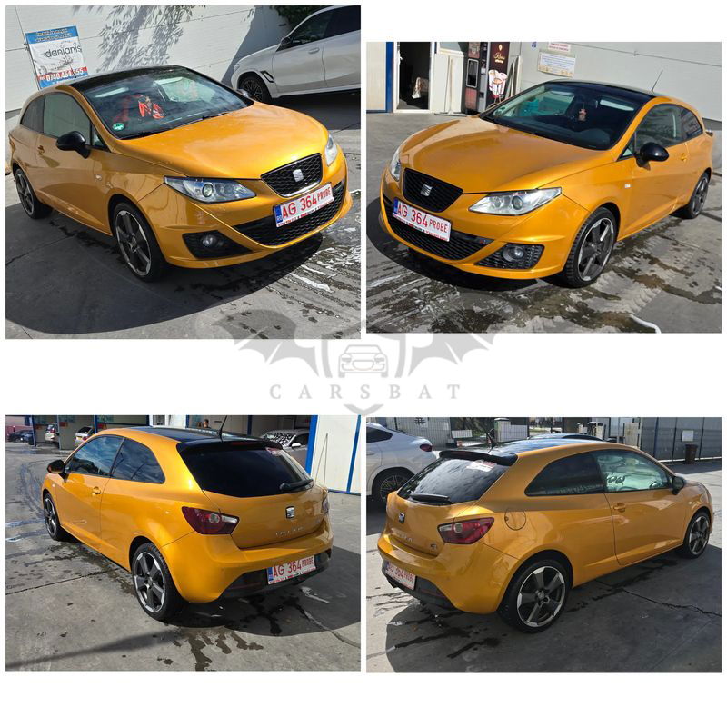 Seat Ibiza IV [2008 - 2017] 2010