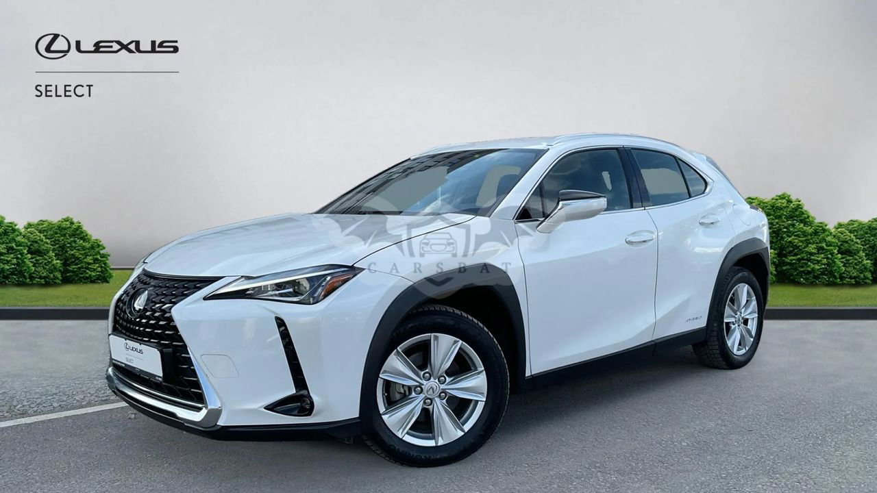 Lexus UX 250h Business Edition 2020