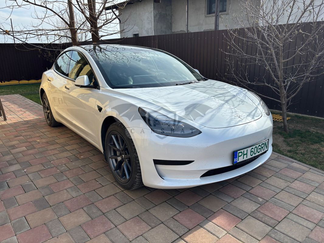 Tesla Model 3 RWD 2023