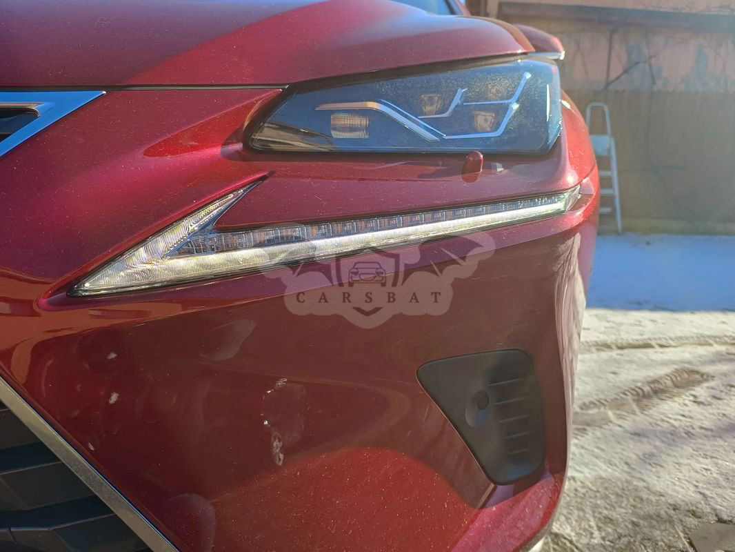 Lexus NX I [2014 - 2021] 2021