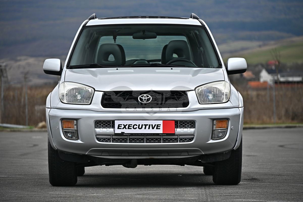 Toyota Rav4 II [2000 - 2006] 2.0 Executive 2002