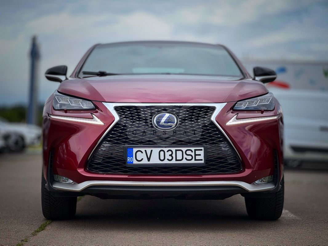 Lexus NX I [2014 - 2021] 2017