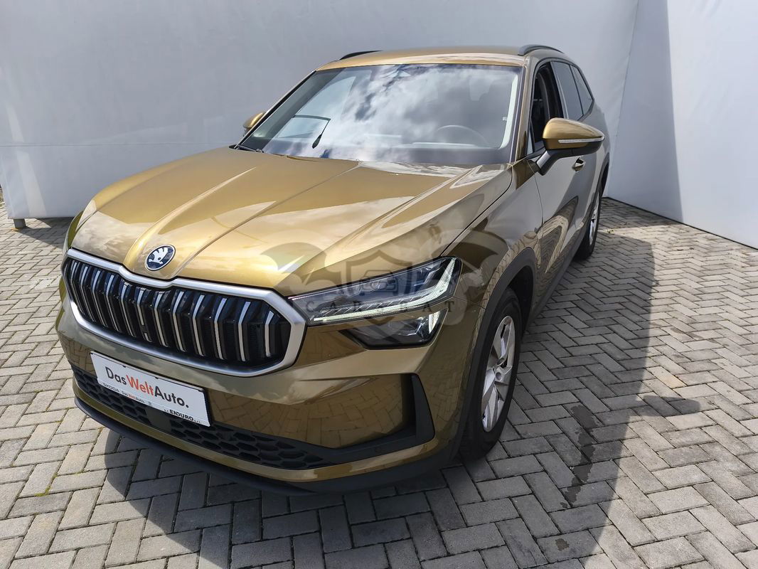Skoda Kodiaq 2.0 TDI DSG Selection 2024
