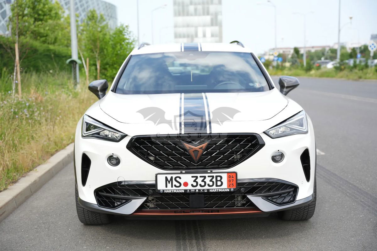 Cupra Formentor VZ 2.0 TSI 4DRIVE DSG 2022