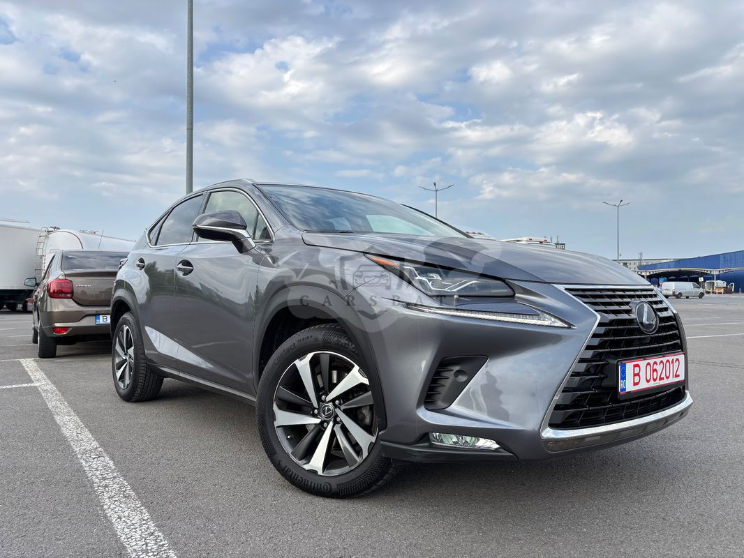 Lexus NX I [2014 - 2021] 300 AWD Luxury Line 2020