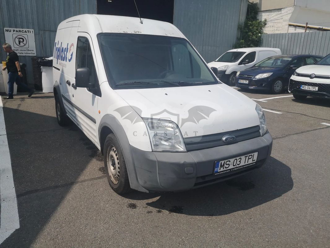 Ford Transit Tourneo (Lang) 2009