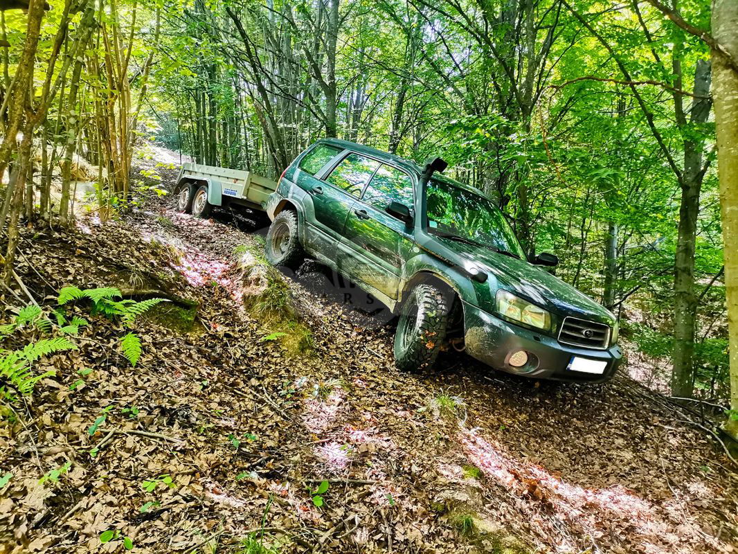 Subaru Forester 2.0 X Active 2003