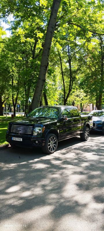 Ford F-150 2010