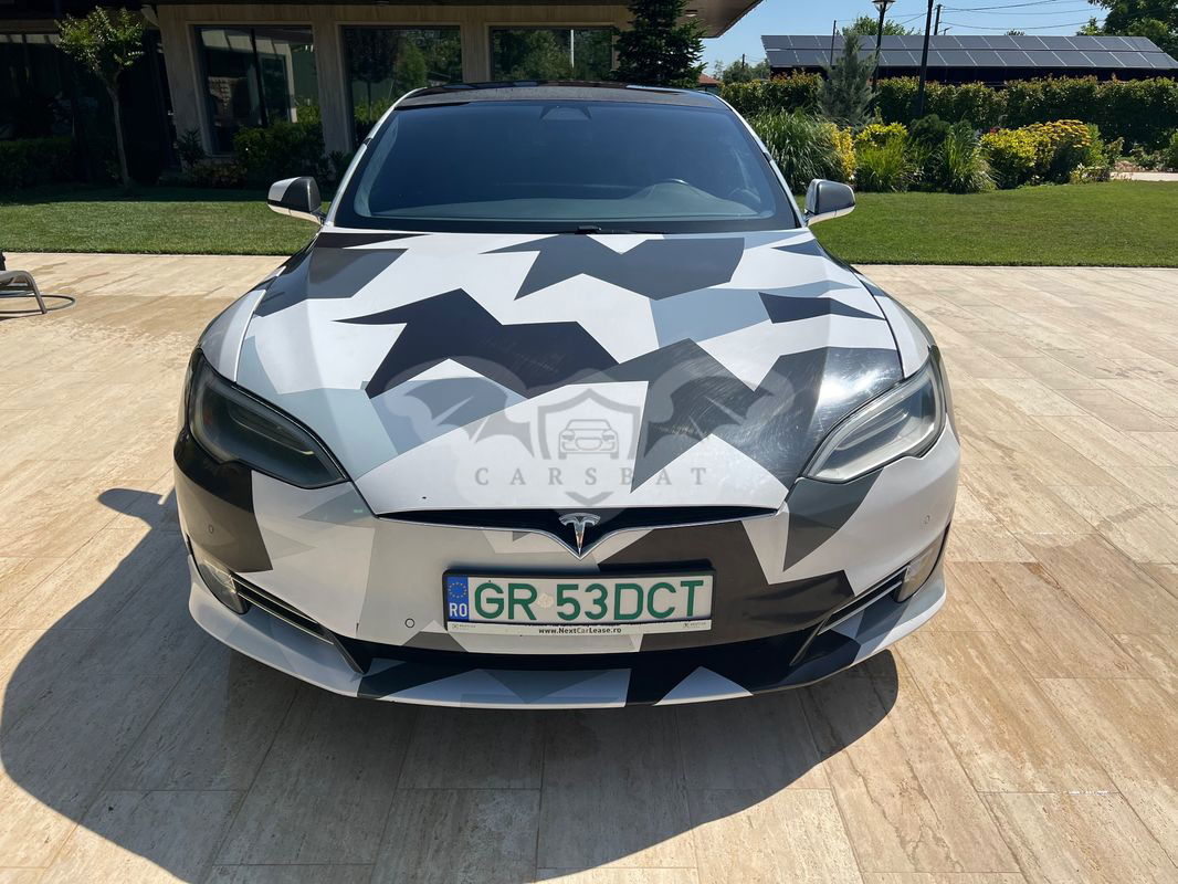 Tesla Model S Performance 2020