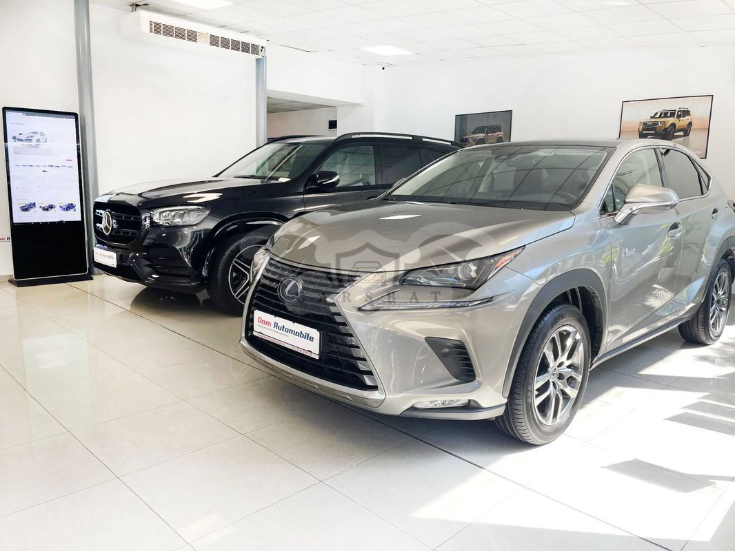 Lexus NX I [2014 - 2021] 300h AWD Executive Plus 2020