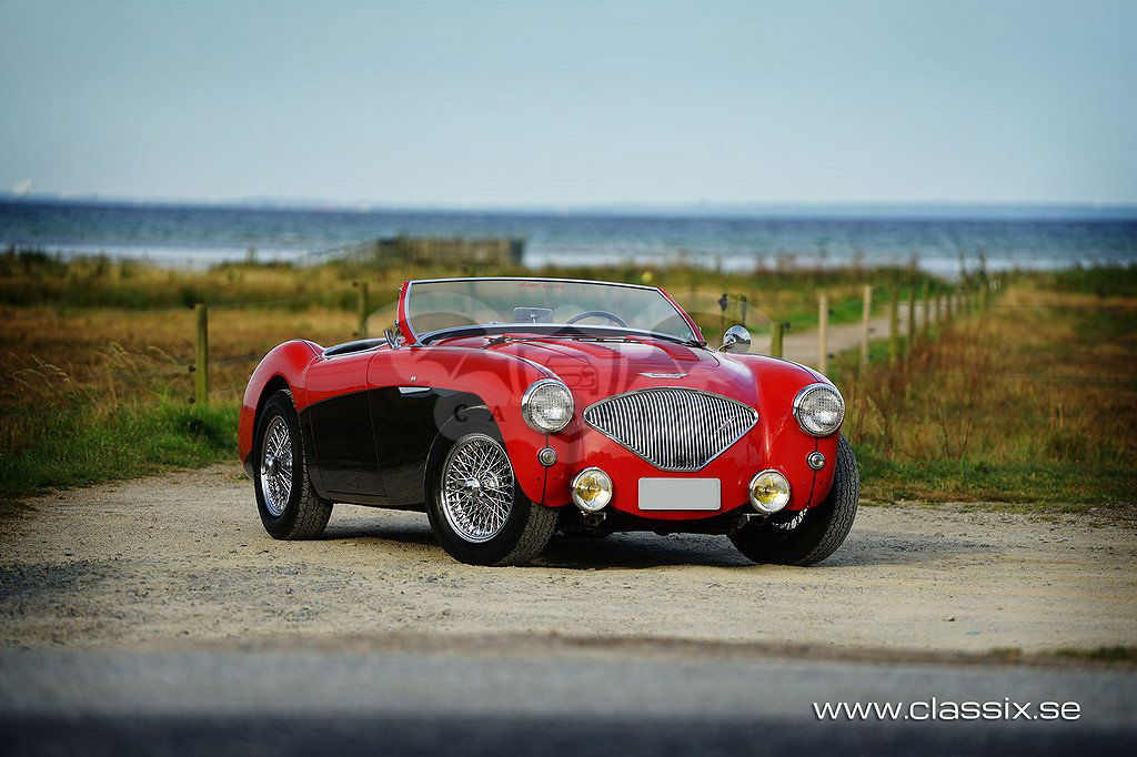 Austin Healey 100 1954