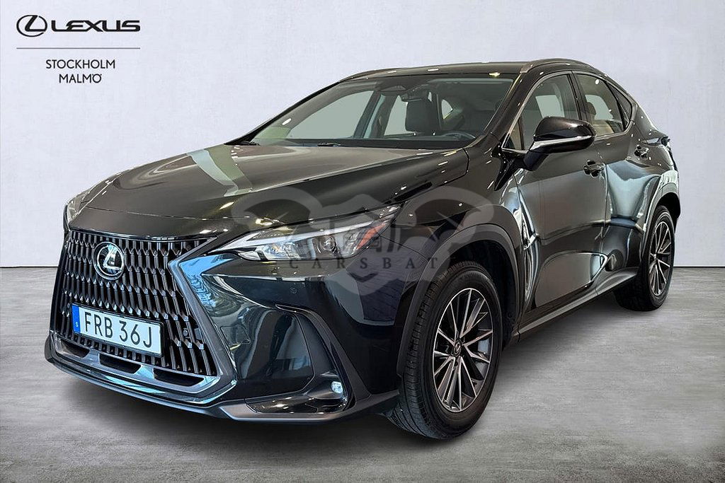 Lexus NX 2024