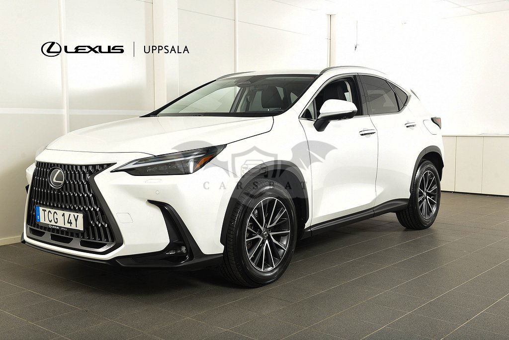 Lexus NX 2023