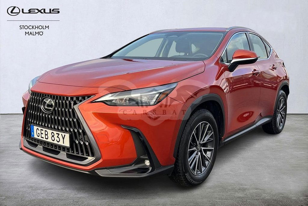 Lexus NX 2024