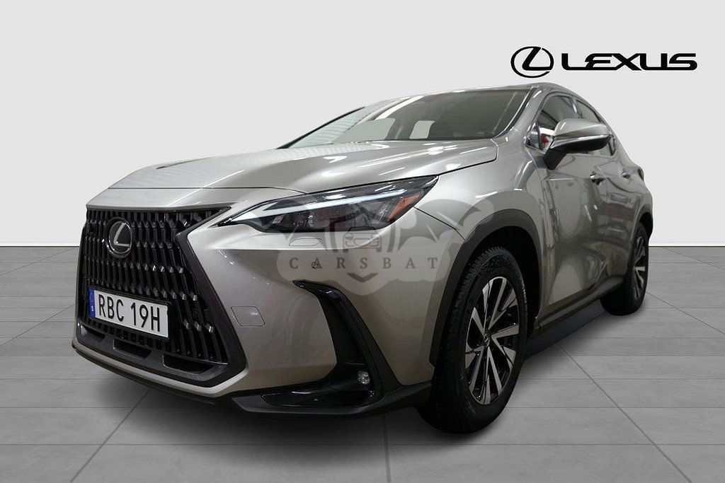 Lexus NX 2024