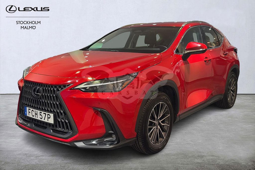 Lexus NX 2024