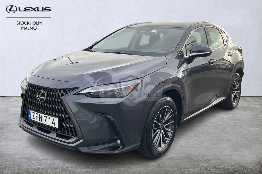 Lexus NX 2024