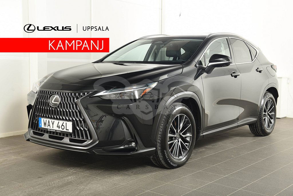 Lexus NX 2023