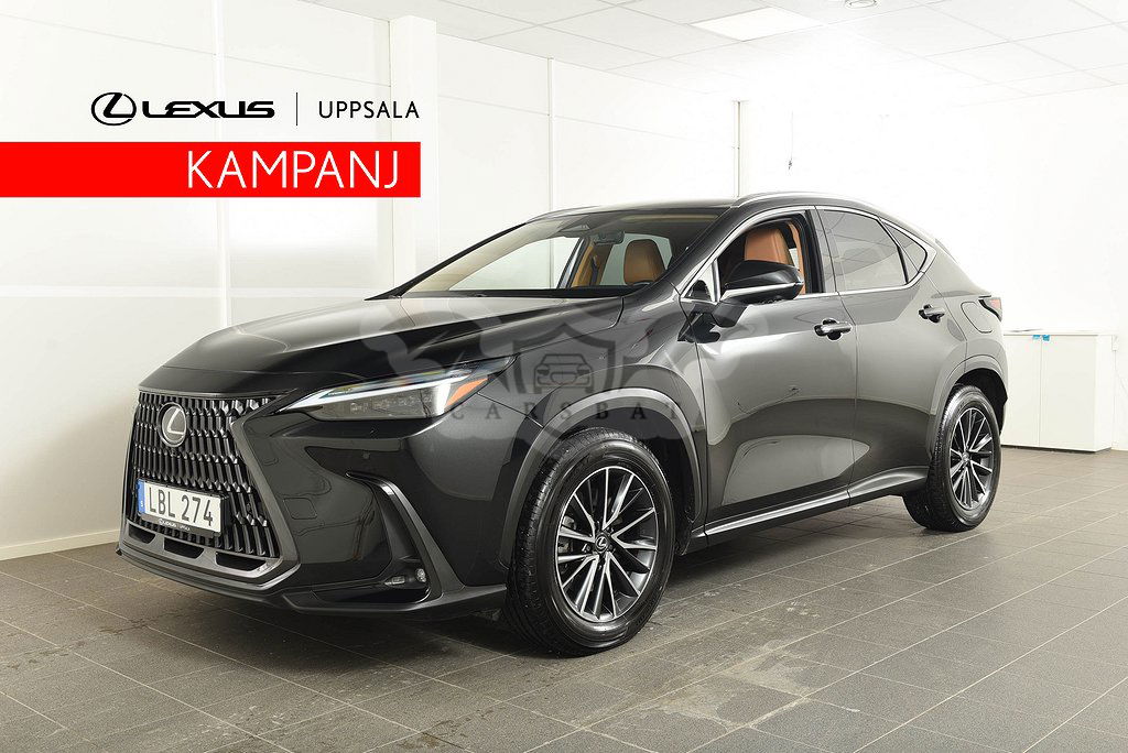 Lexus NX 2023