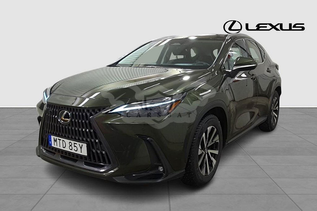 Lexus NX 2024