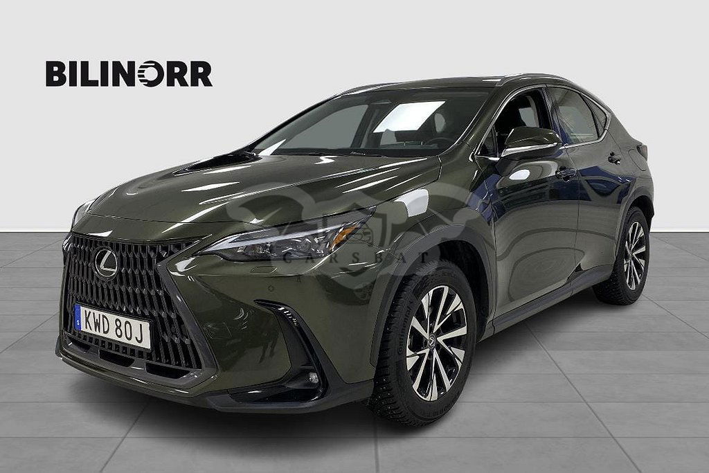 Lexus NX 2024