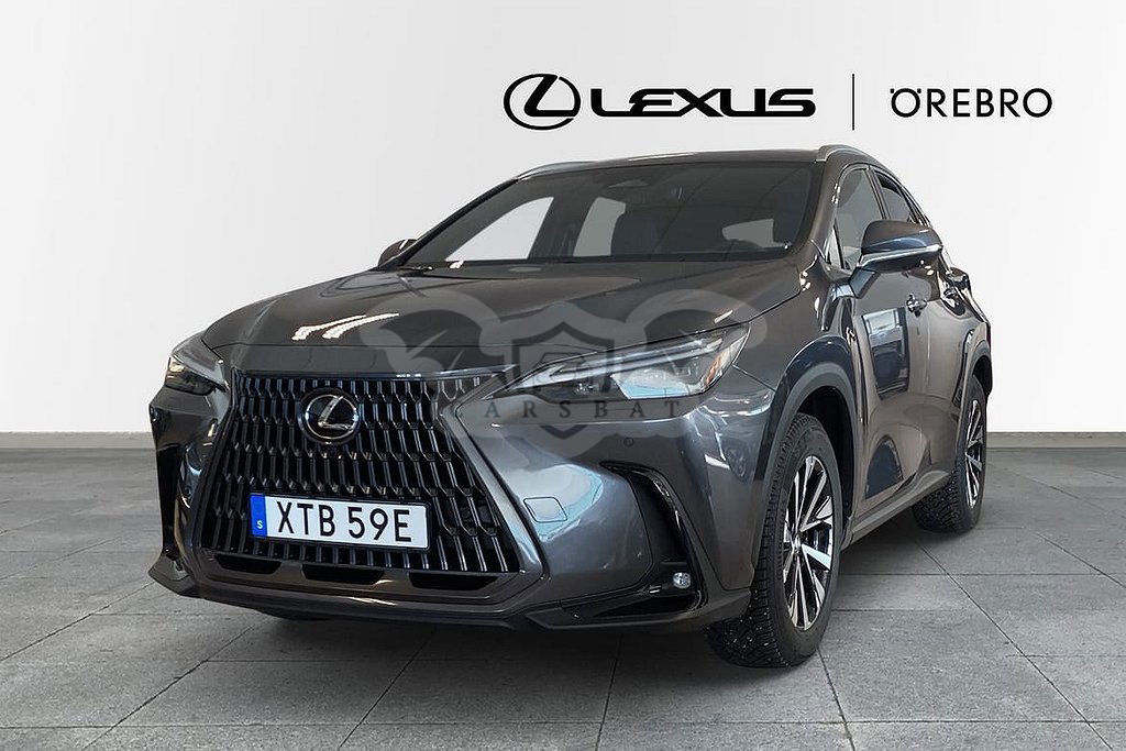 Lexus NX 2024