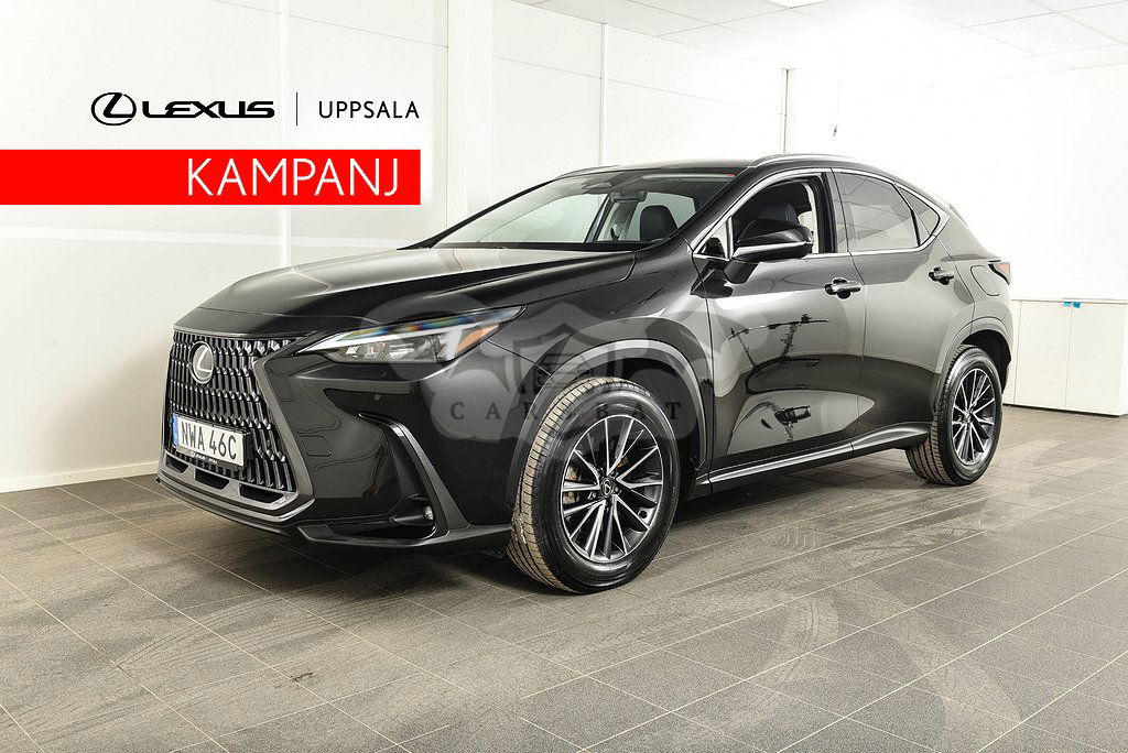 Lexus NX 2023