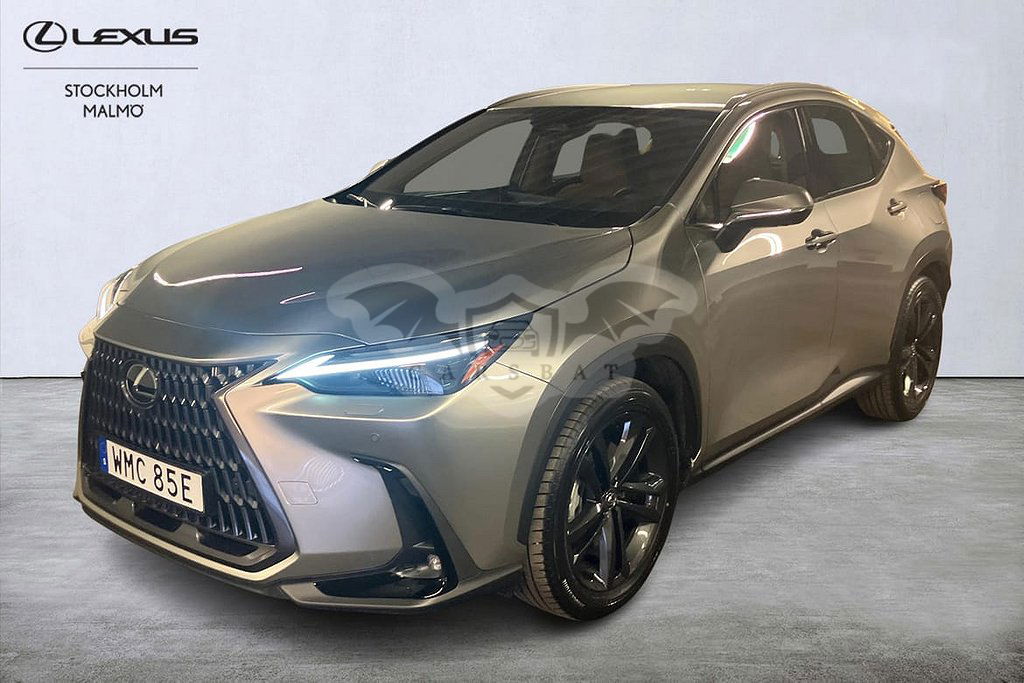 Lexus NX 2024
