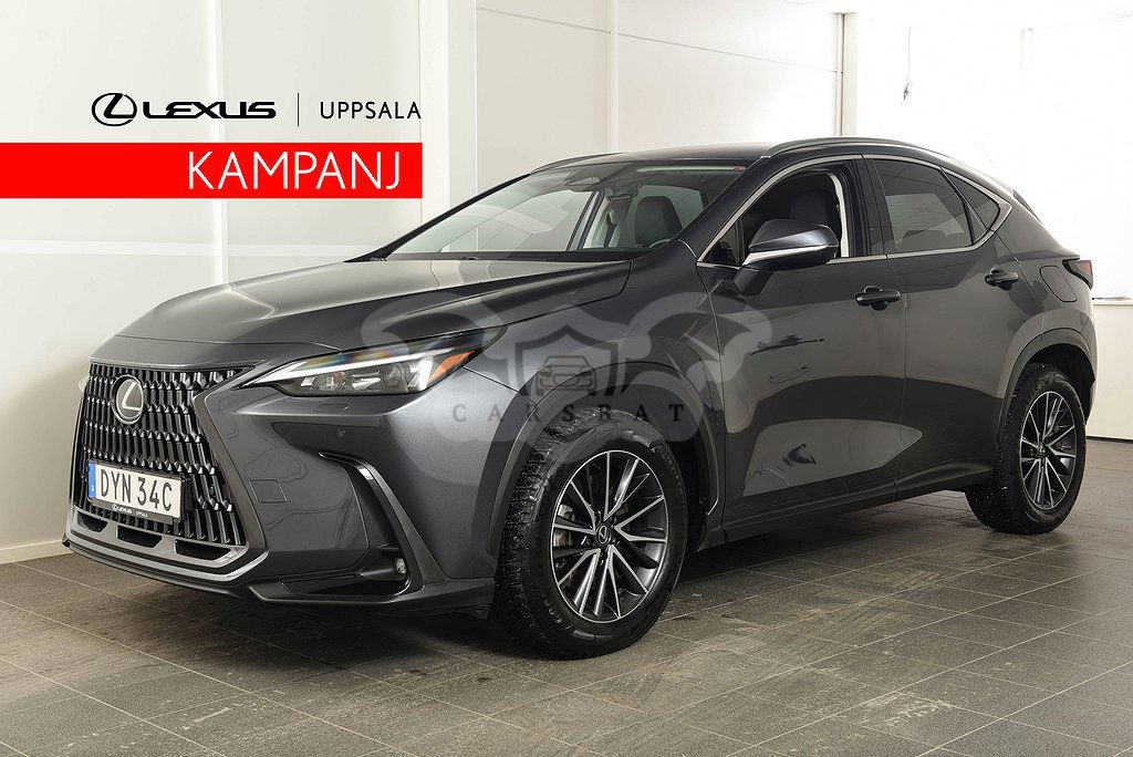 Lexus NX 2023