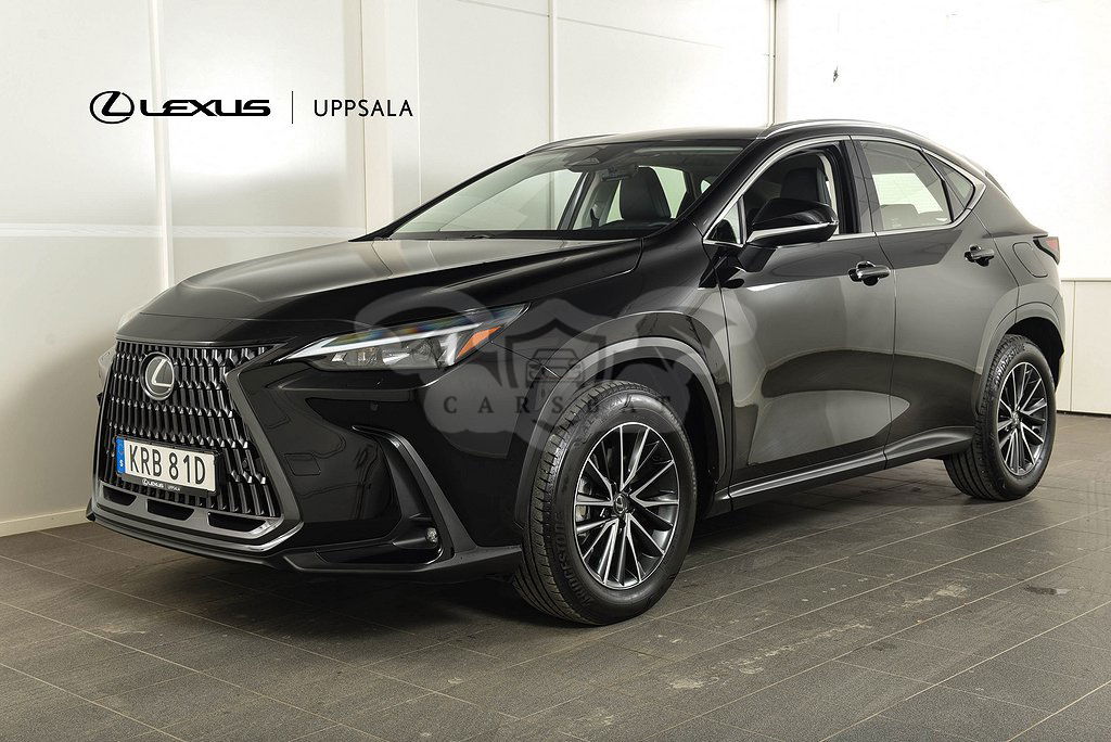 Lexus NX 2024