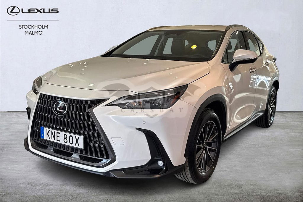Lexus NX 2024
