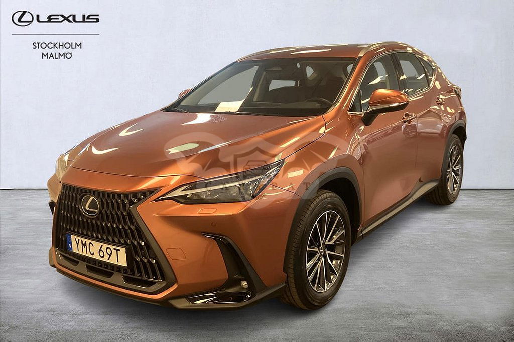 Lexus NX 2024