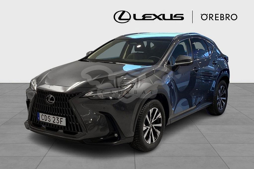 Lexus NX 2024