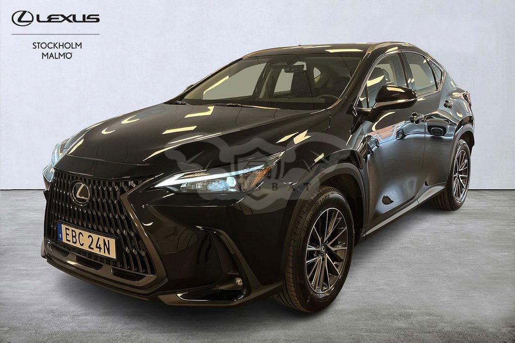 Lexus NX 2024