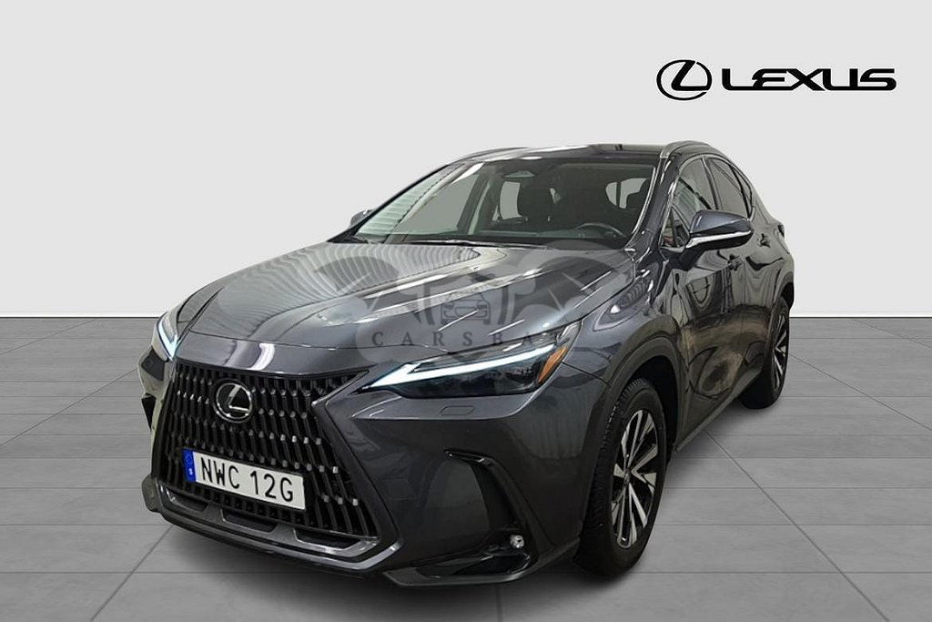 Lexus NX 2023