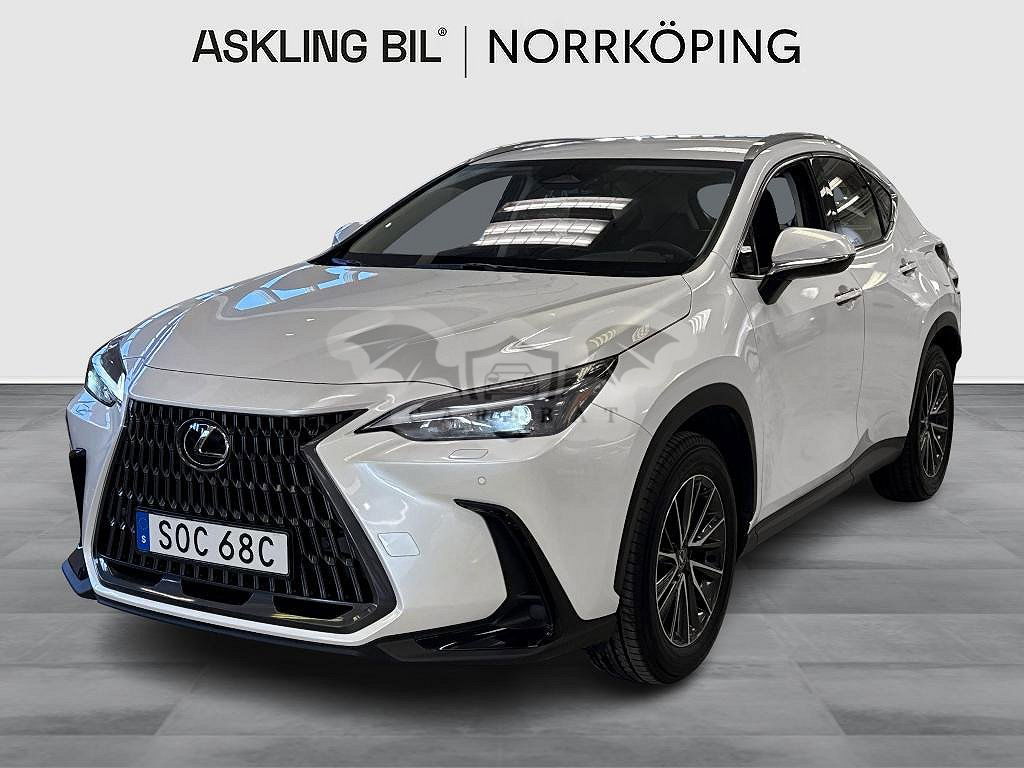 Lexus NX 2024