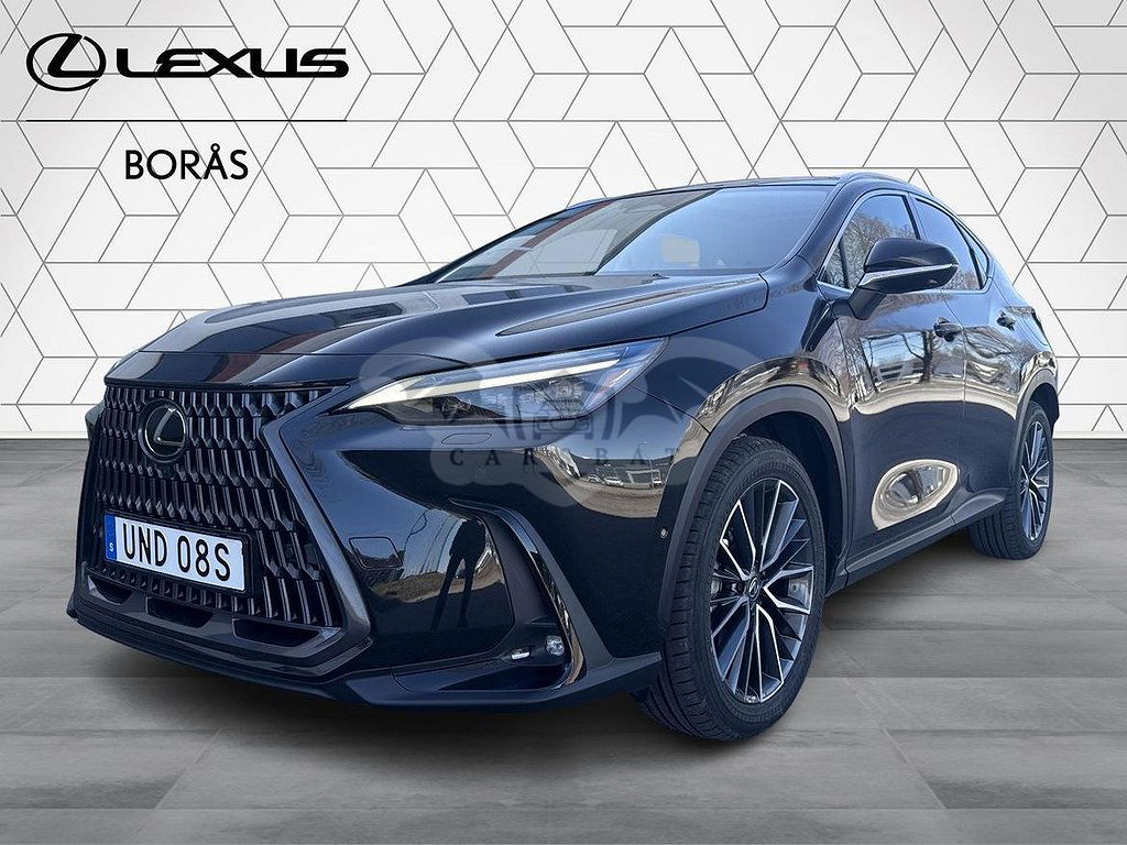 Lexus NX 2024