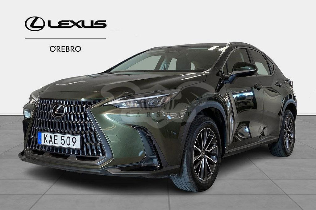 Lexus NX 2021