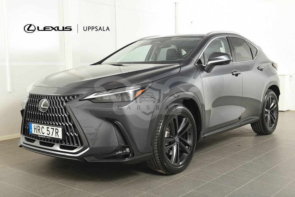 Lexus NX 2024
