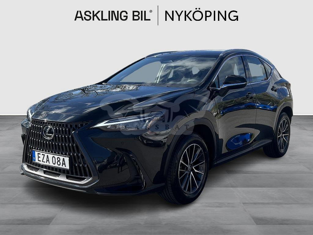 Lexus NX 2024
