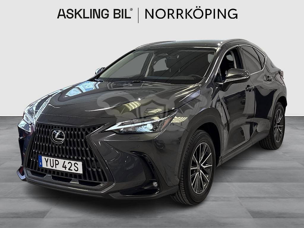 Lexus NX 2023