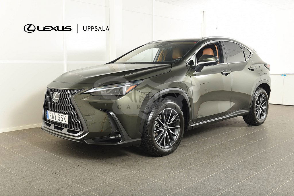 Lexus NX 2023