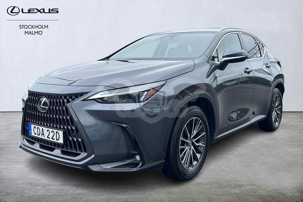 Lexus NX 2024