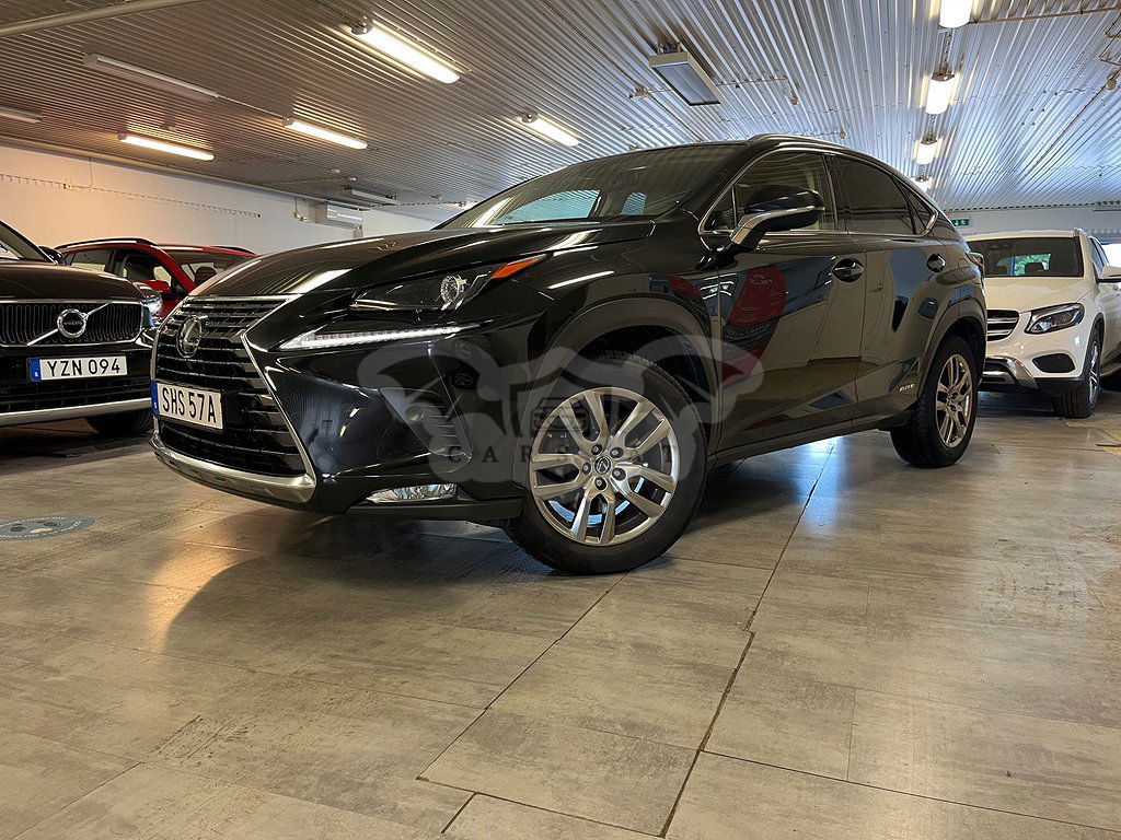 Lexus NX 2019